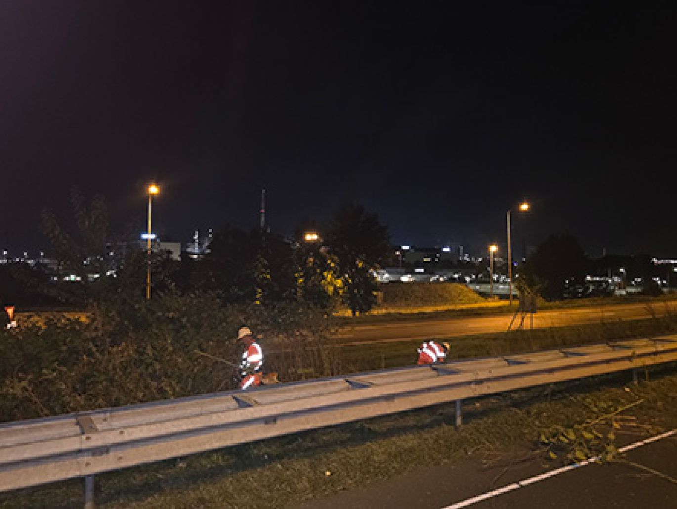 Maaien en afvoeren maaisel