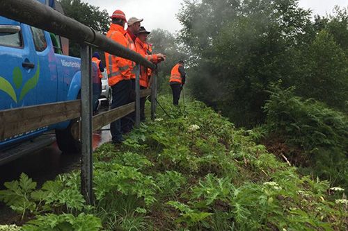 Exotenbestrijding is maatwerk