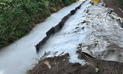 Natural Green Water Weed Free Service