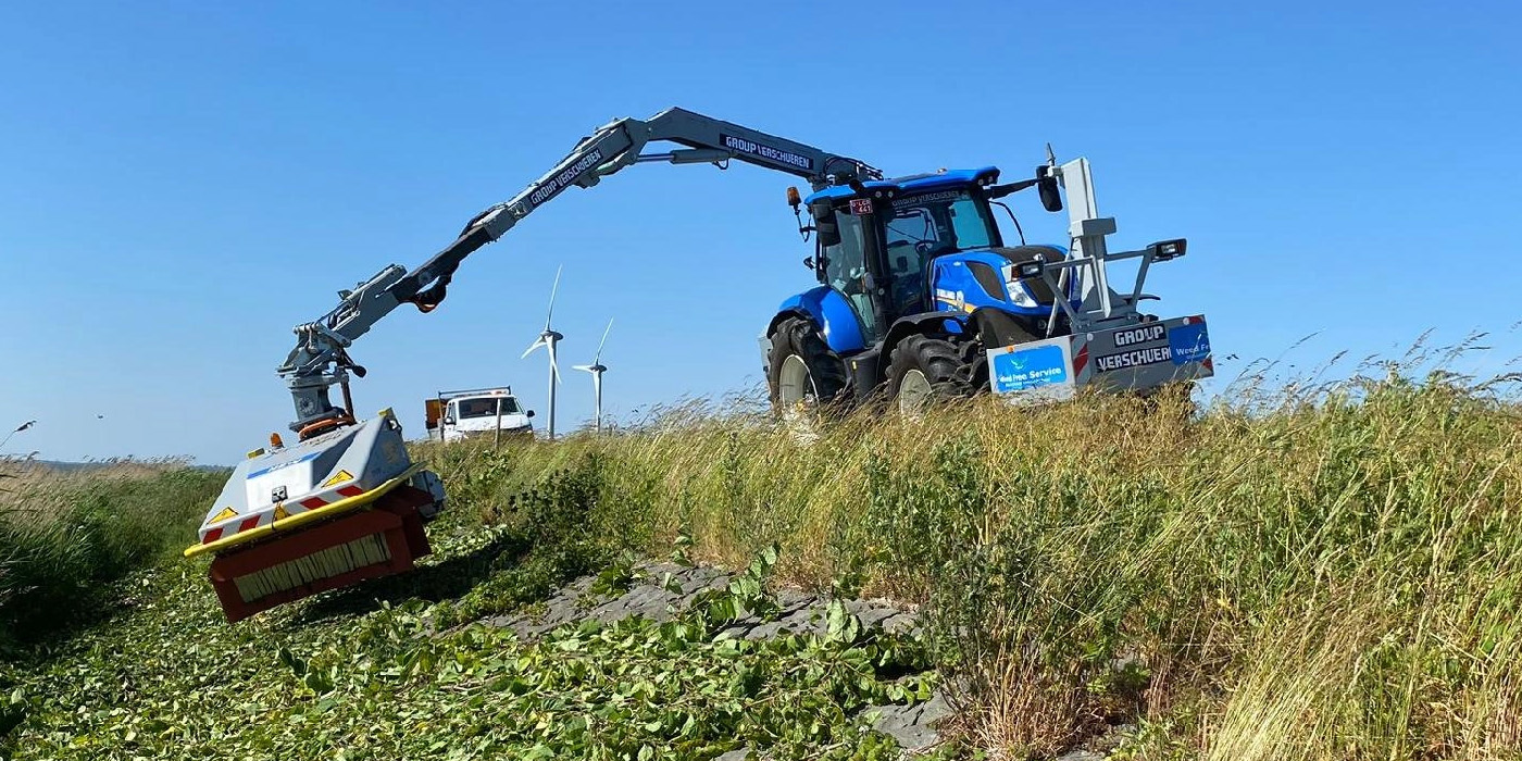 Weed Free Service Weed Lightning