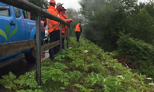 Exotenbestrijding is maatwerk
