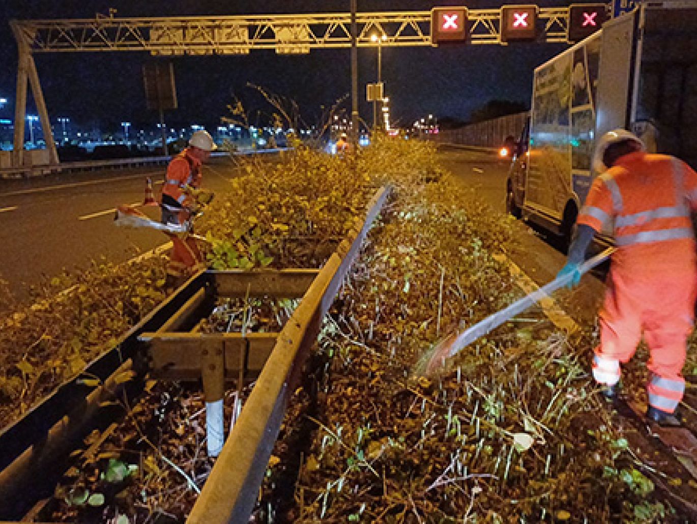 Maaien en afvoeren maaisel